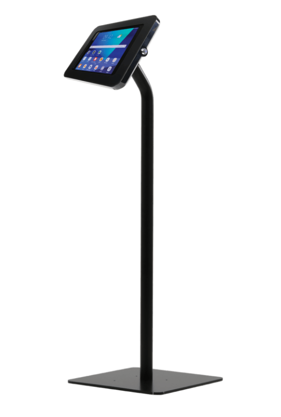 Borne Sur Pied Noire Entier