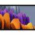 Galaxy Tab S7 11.0 (2020) - SM-T870-T875